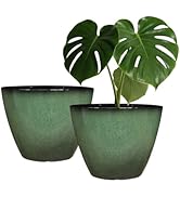 Amazon.com: Vanslogreen Plant Pots for Indoor Plants 5 Pack Self